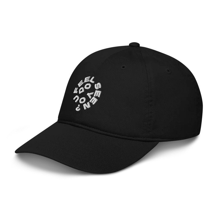 DYFS Cap product image (4)