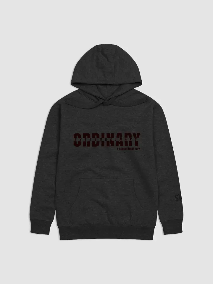 The Ordinary Hoodie product image (4)