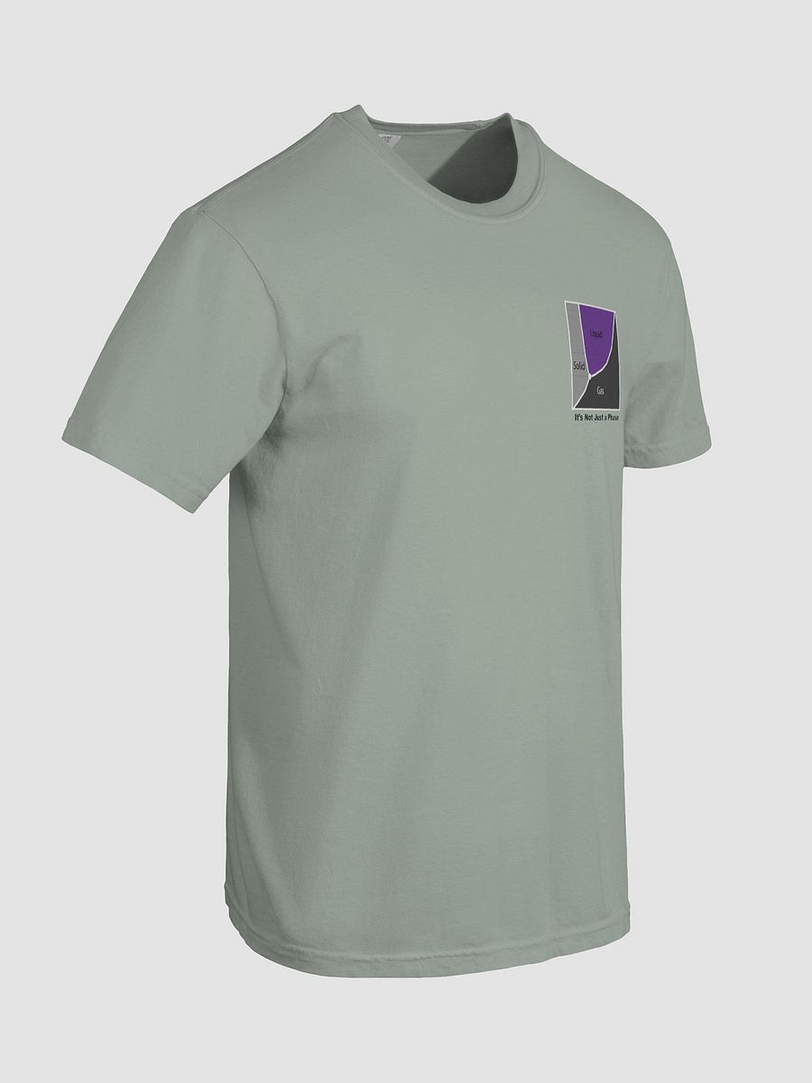 It's Not Just a Phase- Ace T Shirt product image (68)