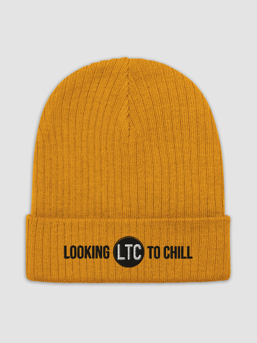[S1] LTC Better Brains Beanie product image (1)