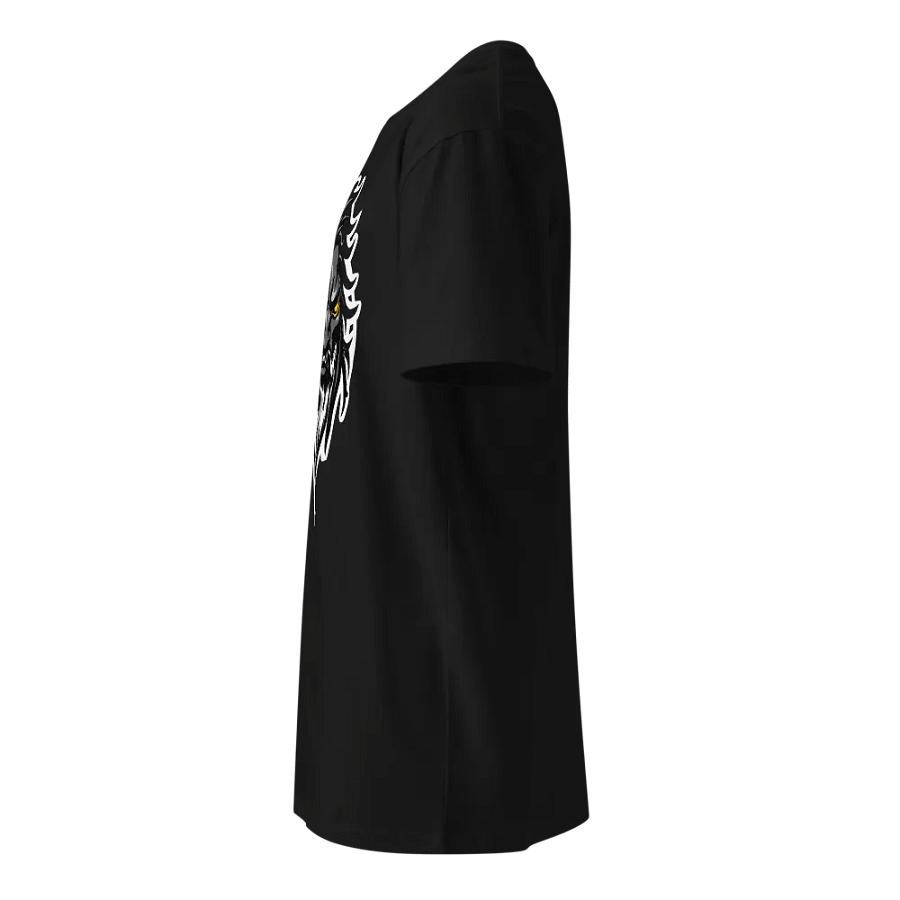 DHP Energy God Fierce Bearded Warrior Unisex T-Shirt product image (6)