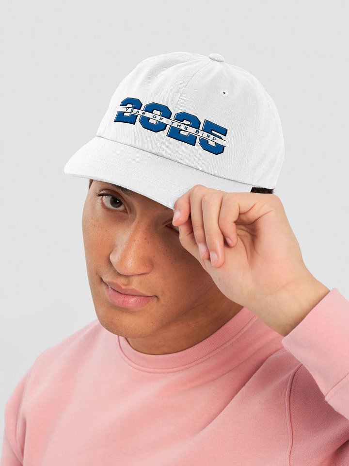 Blue "Year of the Bird" Cap product image (1)