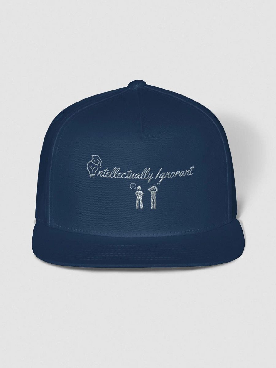 Intellectually Ignorant Grey logo Snap back product image (1)