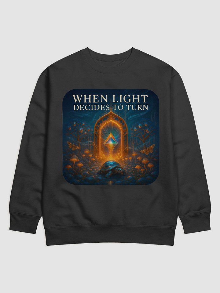 When Light Decides to Turn Sweater product image (4)