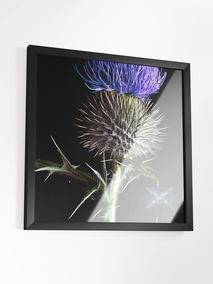 Scottish Romantics Framed Photo product image (2)