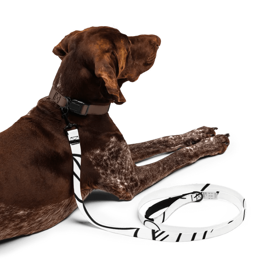EmMORtallY: Dog Leash product image (5)