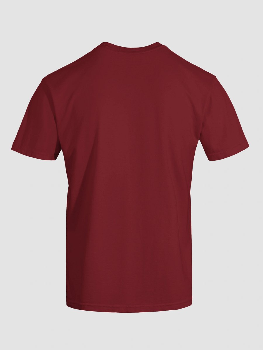 Texas Pride Bluebonnet Tee product image (9)