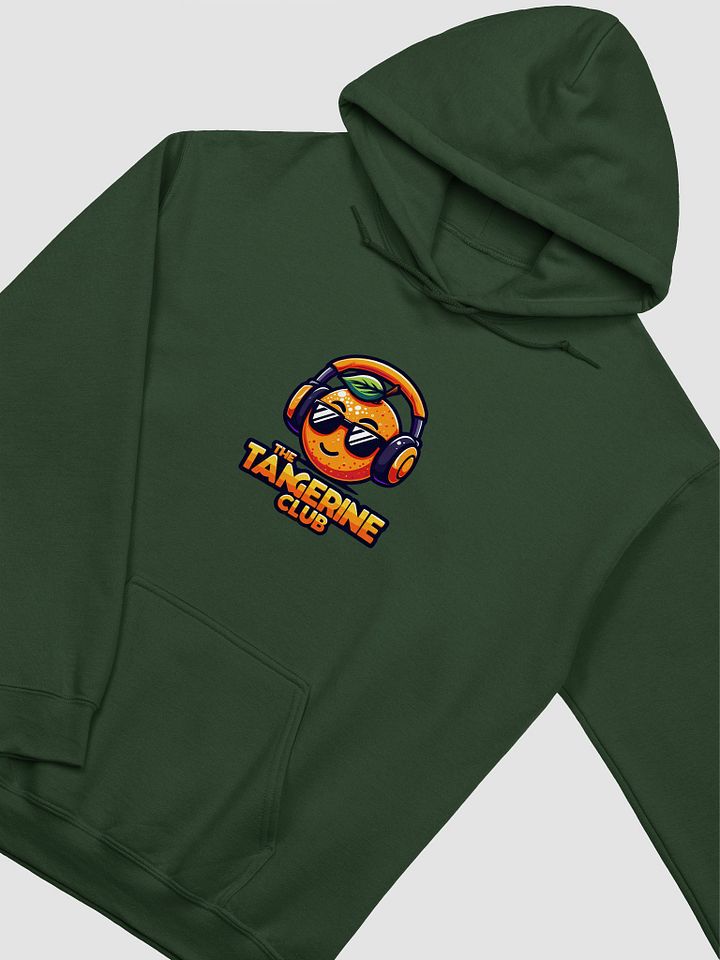 TTC Classic Hoodie Version #2 product image (1)