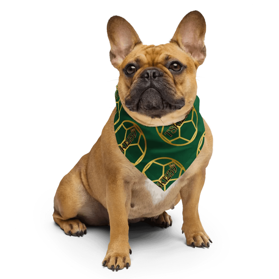 TSK1239 Logo Bandana product image (6)