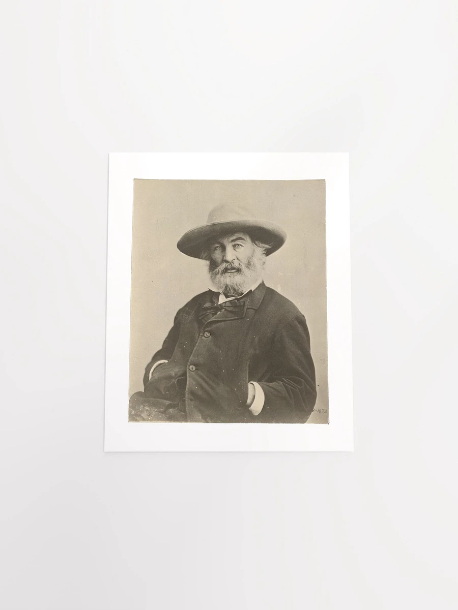 Walt Whitman By Mathew Brady? (c. 1870) - Print product image (4)