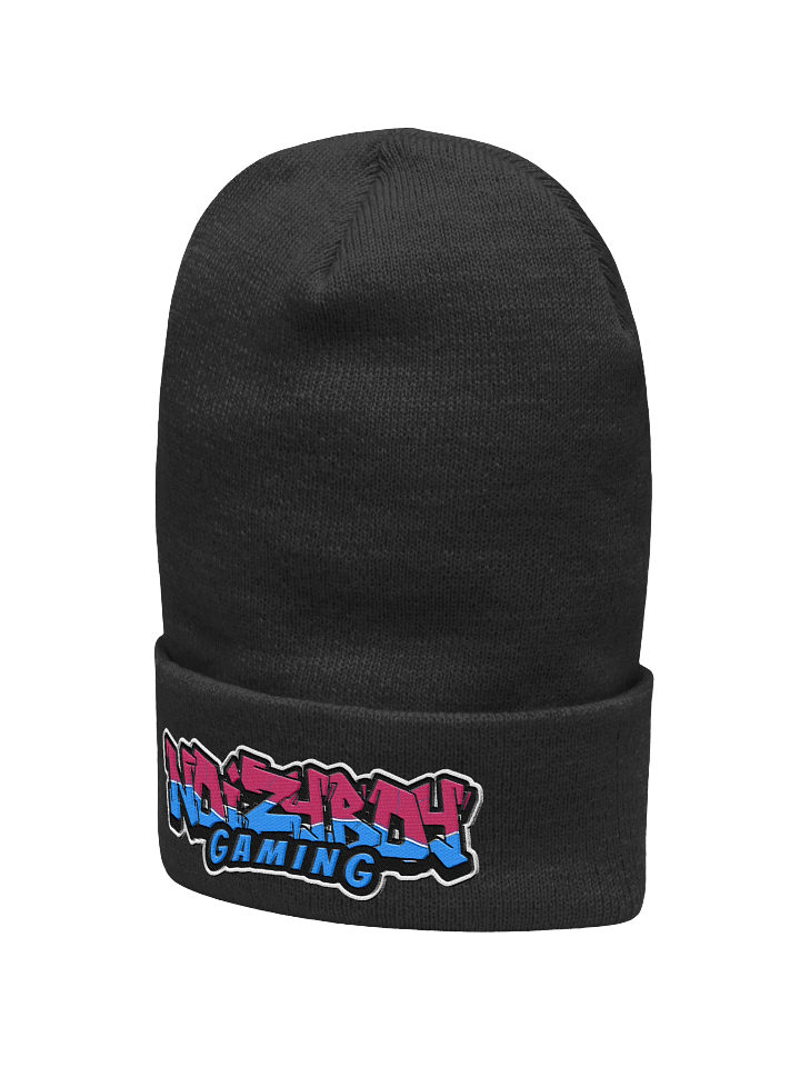 Noizyboy Beanie product image (4)