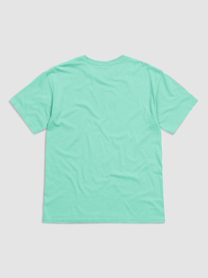 CS Heavyweight T-Shirt product image (2)
