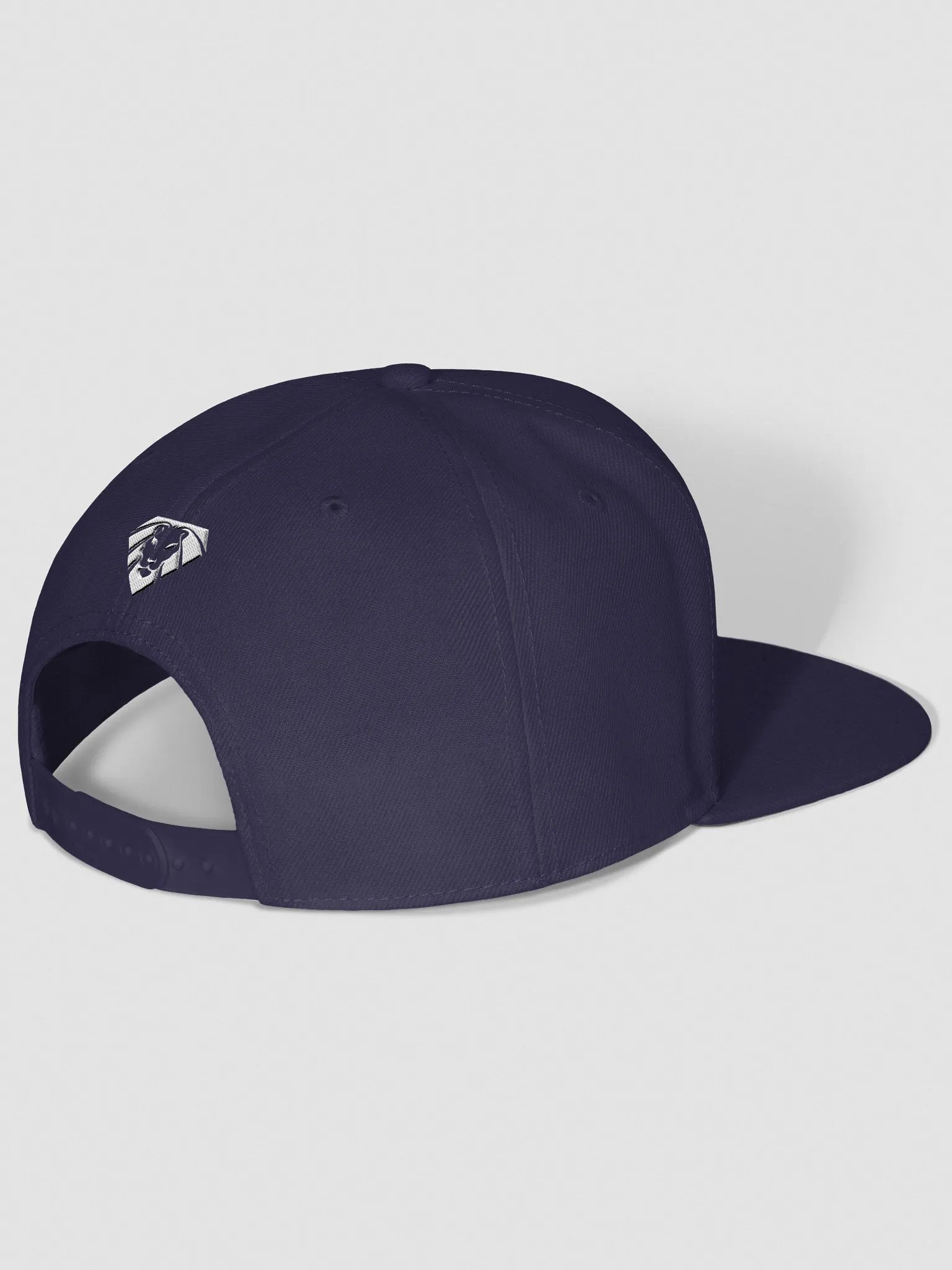 VIP Space Lion Snapback product image (38)