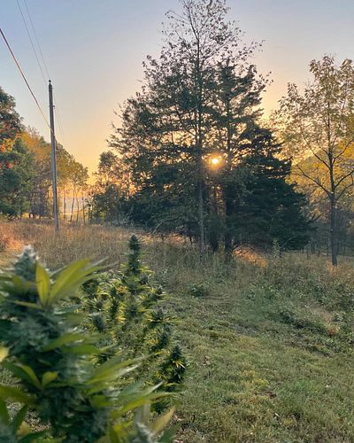 Another year another harvest with family and friends. I am filled with gratitude.