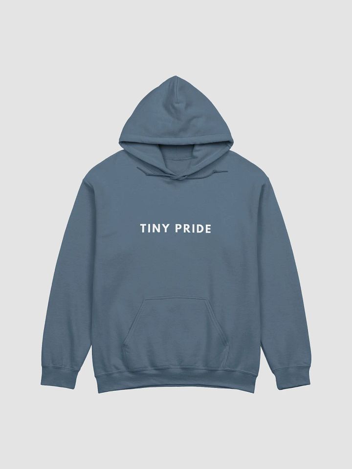Tiny Pride Slate Hood product image (1)
