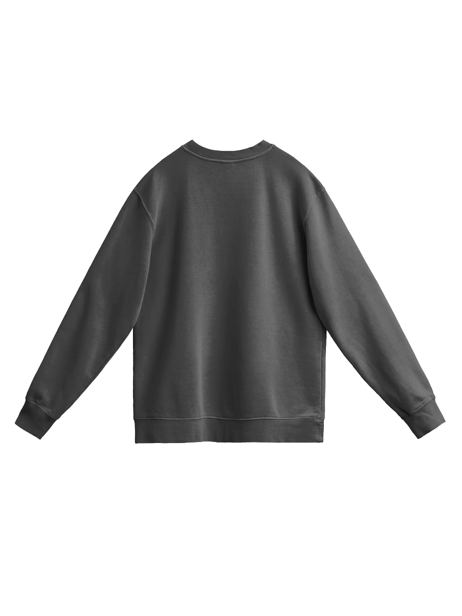 Enigma Nation Independent Trading Co. Unisex Midweight Pigment Dyed Sweatshirt product image (93)