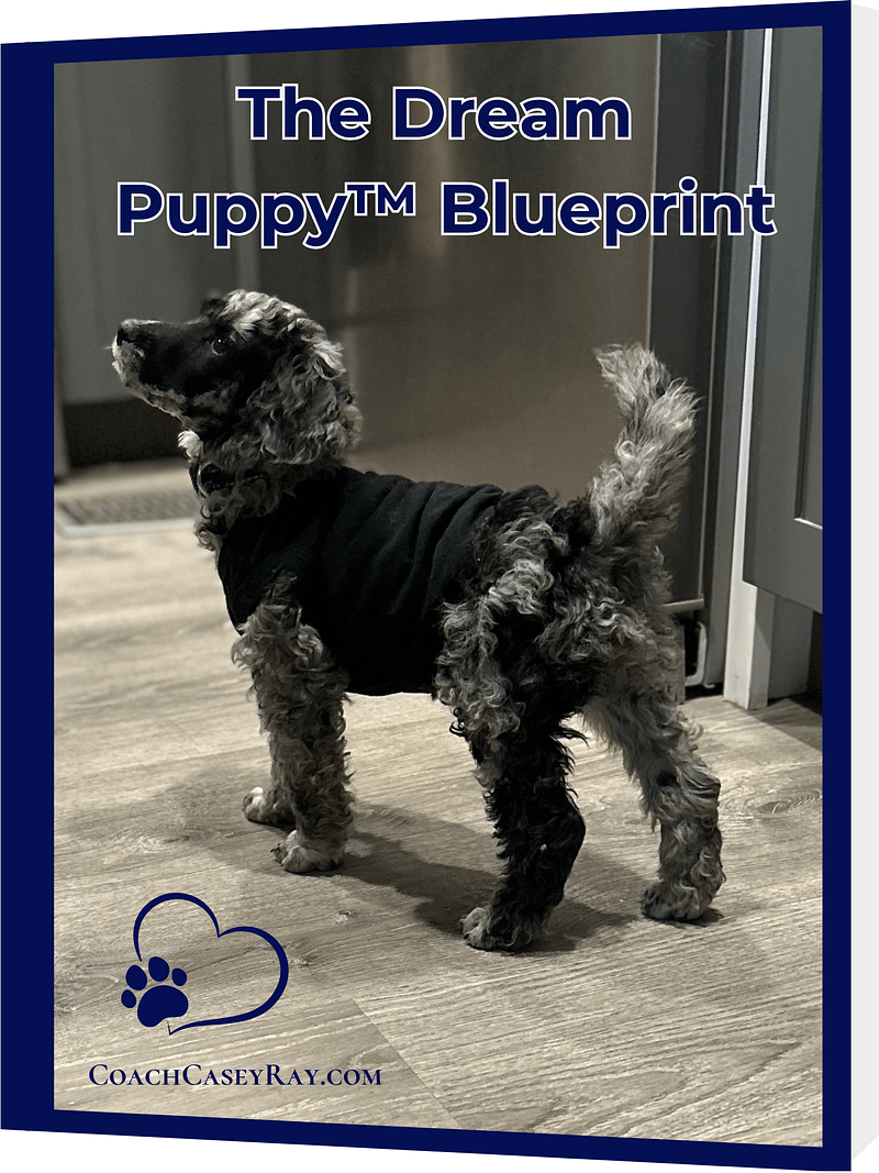 The Dream Puppy™ Bundle