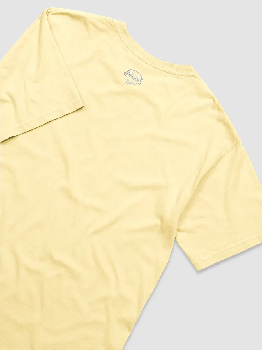 Mississippi Mudcats T-Shirt by Comfort Colors product image (4)