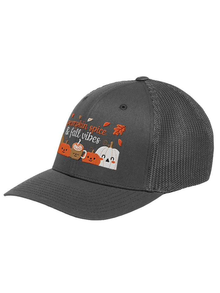 Pumpkin Spice & Fall Vibes product image (2)