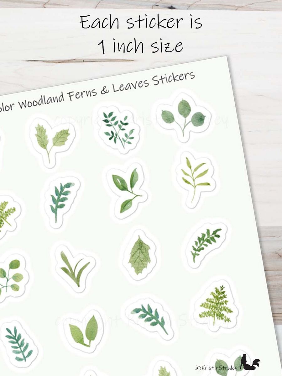 Woodland Ferns and Leaves Sticker Sheet product image (3)