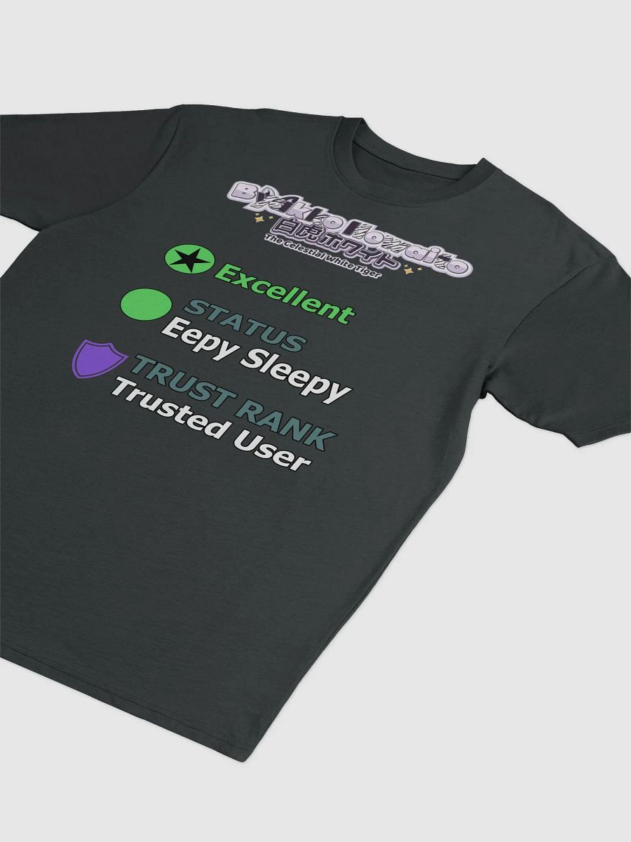 Premium Heavyweight Tee - Byakko VR Stats Eepy Sleepy Edition product image (17)