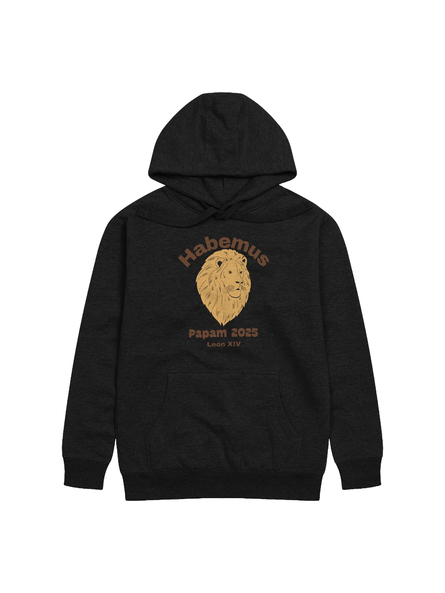 Habemus Papam 2025 Leo XIV Hoodie product image (1)
