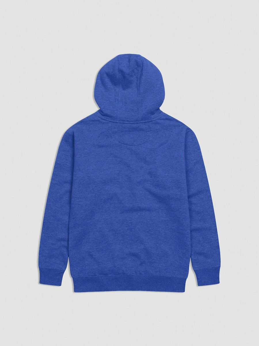 Allegedly Hoodie product image (2)