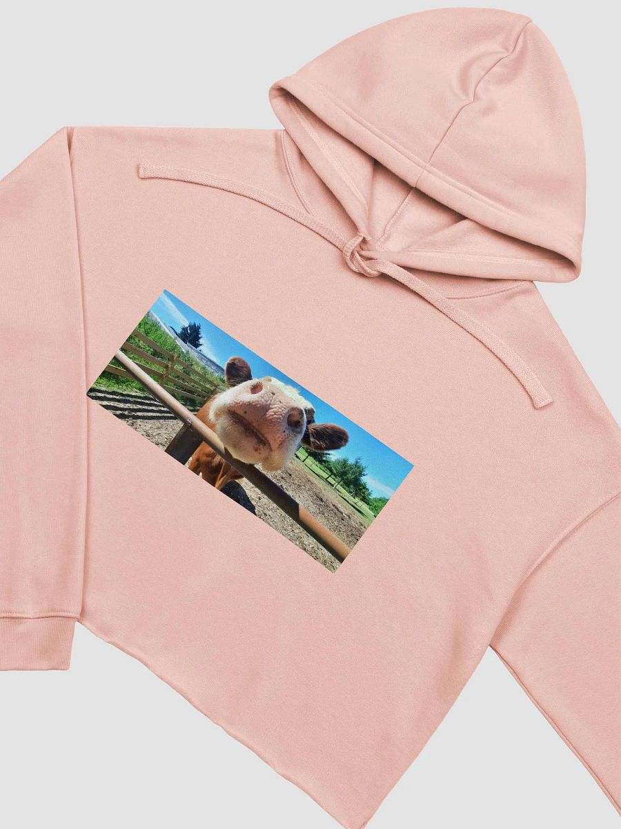 Cozy Cowrner product image (26)