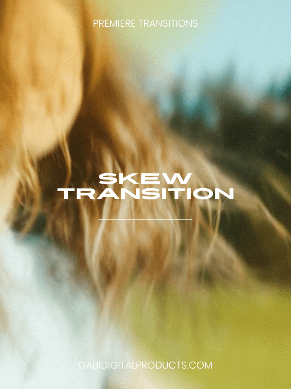 Premiere Pro MRR/PLR Editing TRANSITIONS product image (2)