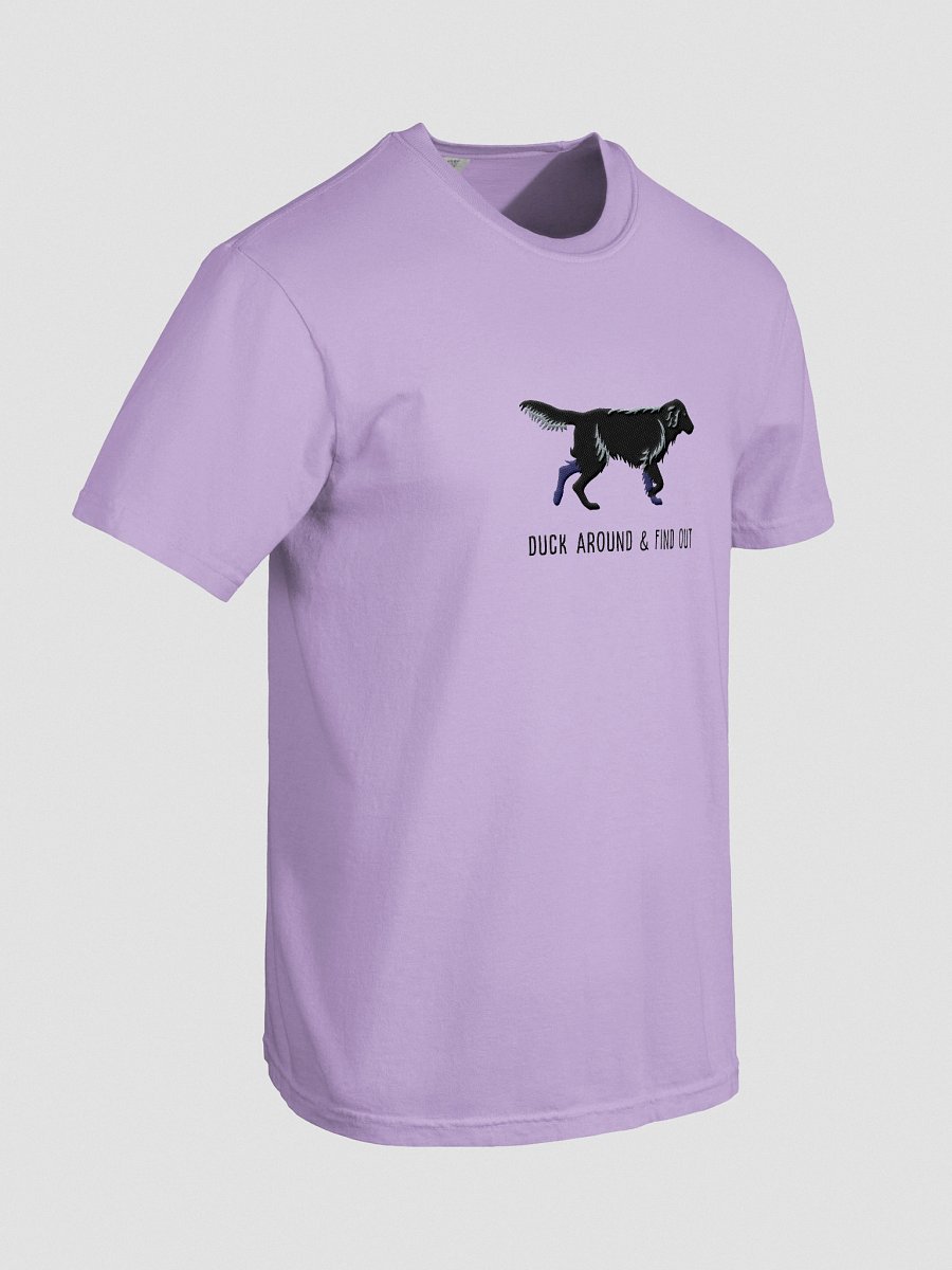 Duck Around and Find Out T-Shirt(Embroidered) of a Flat-Coated Retriever(Black) product image (48)