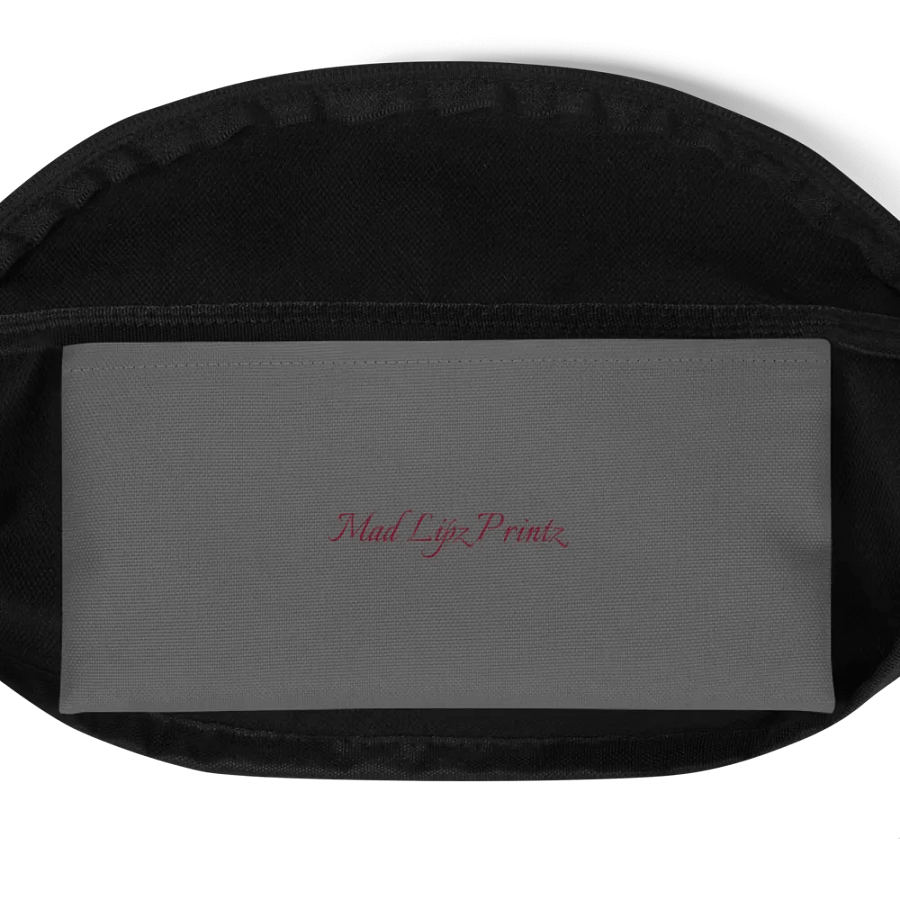 Fanny Pack product image (4)
