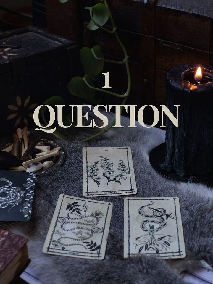 1 Question Reading product image (1)