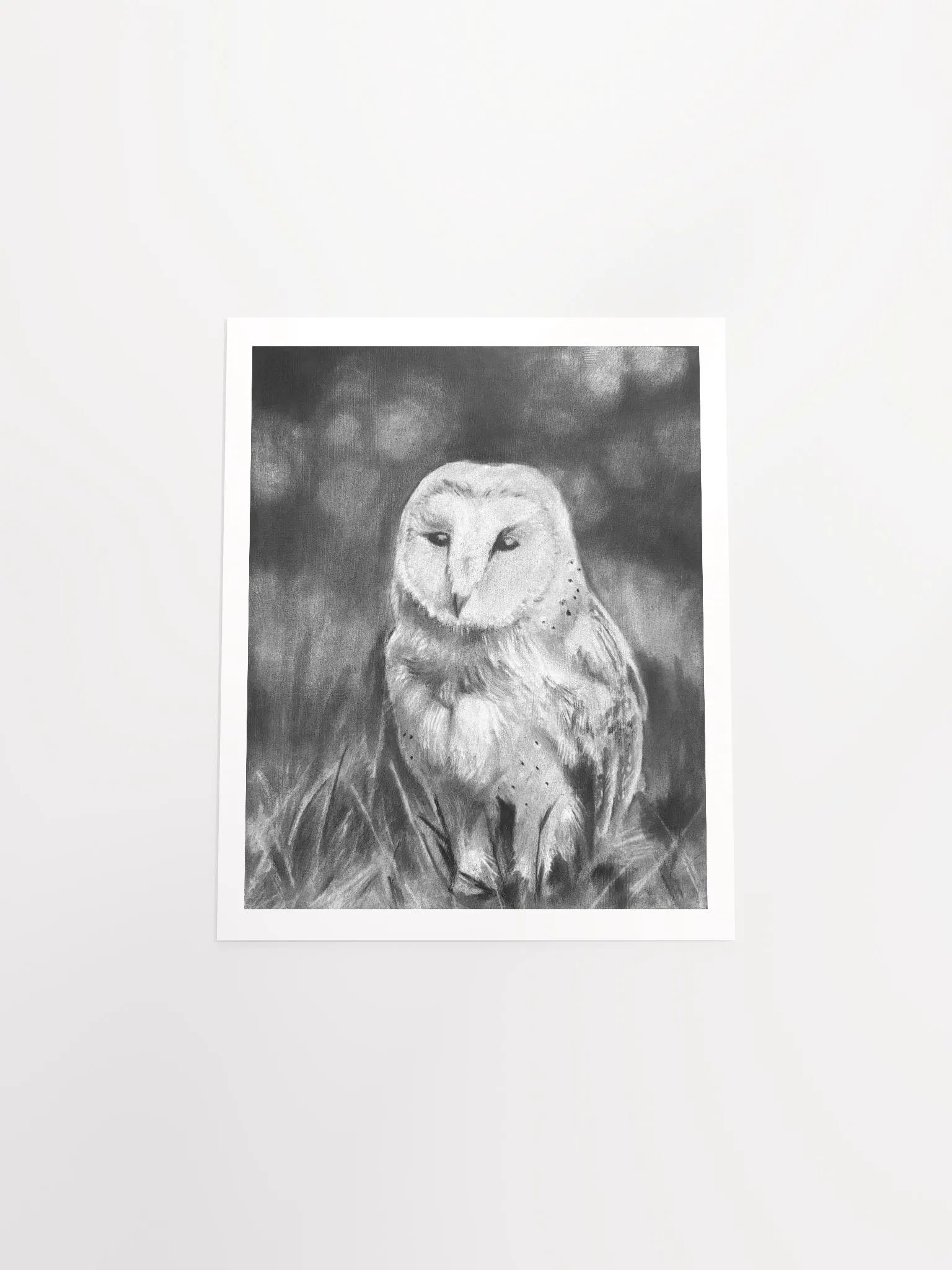 Owl - Print product image (11)