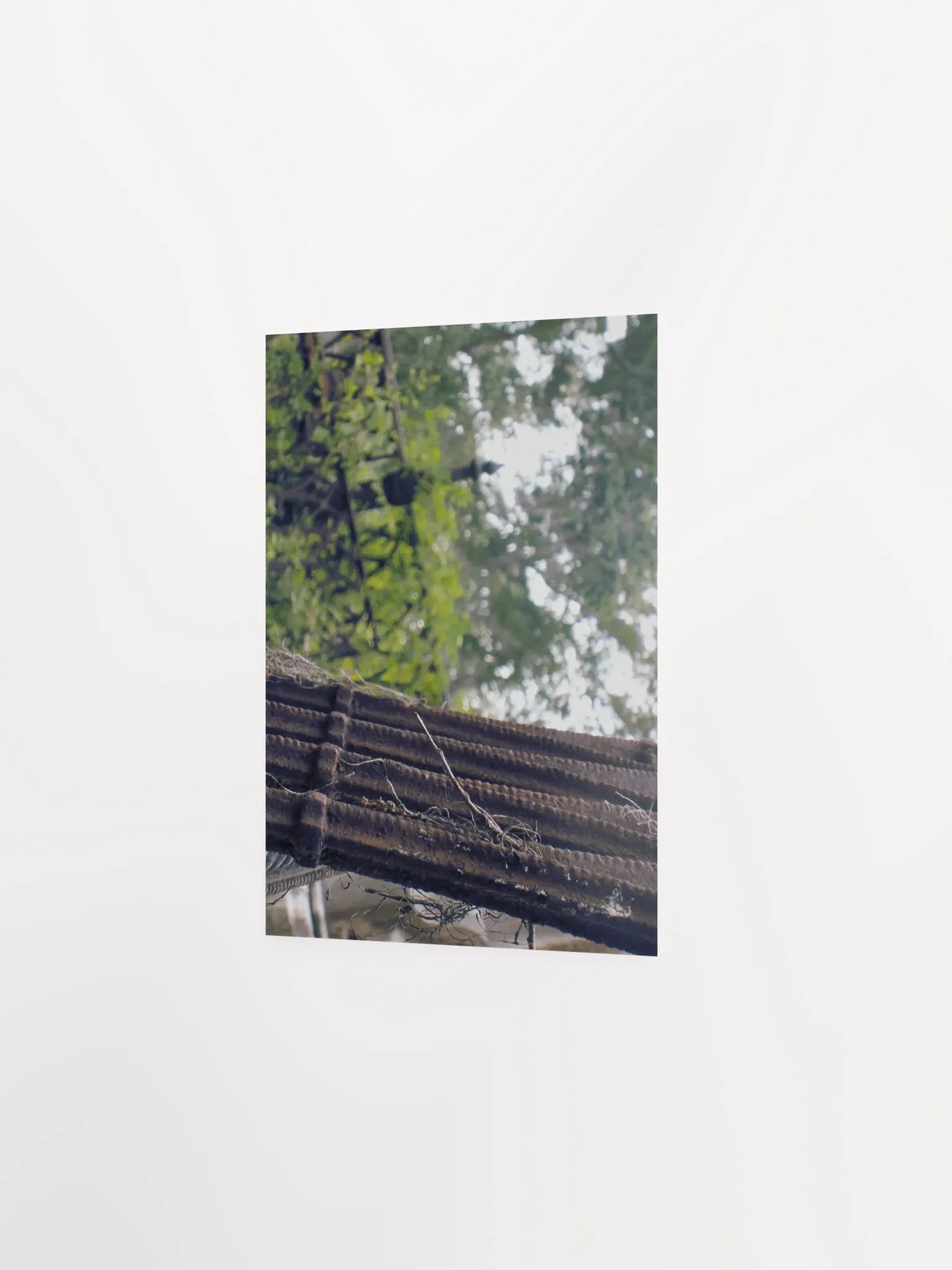 Queer Even in Death product image (17)