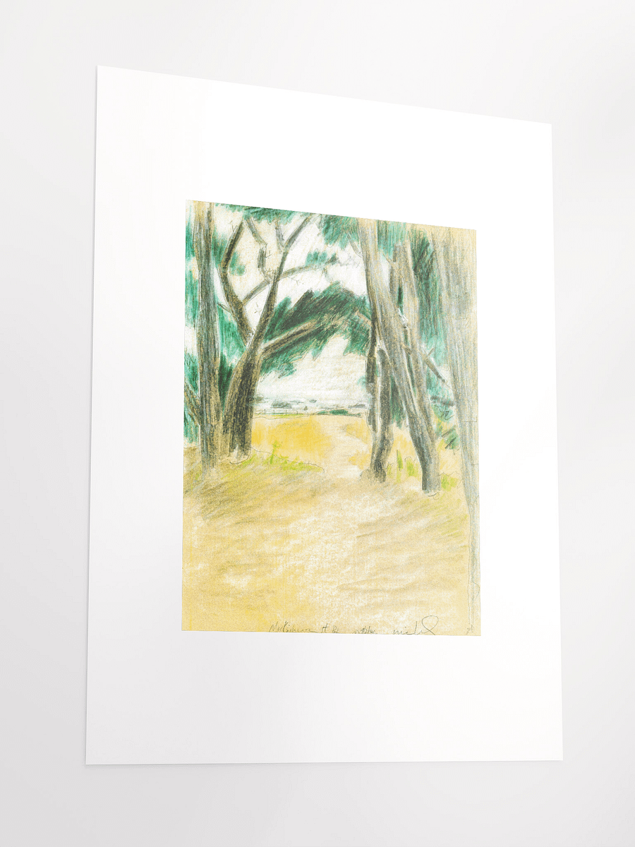 Mackerricher State Park, CA 09.02.86 print product image (4)