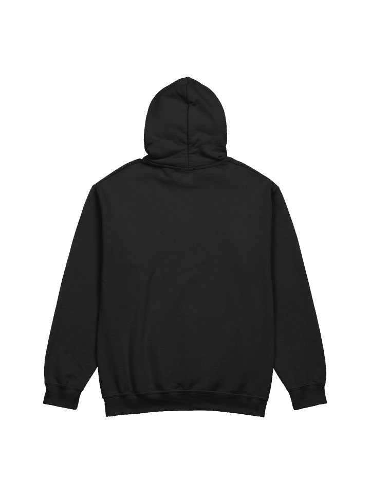 DGDR Podcast Hoodie product image (2)