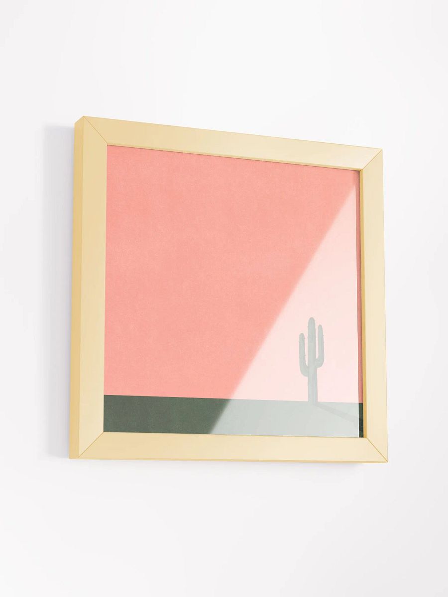 Cactus product image (3)