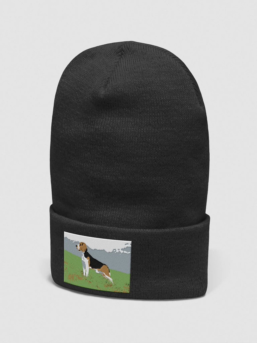 winter beagle sun sweet product image (12)