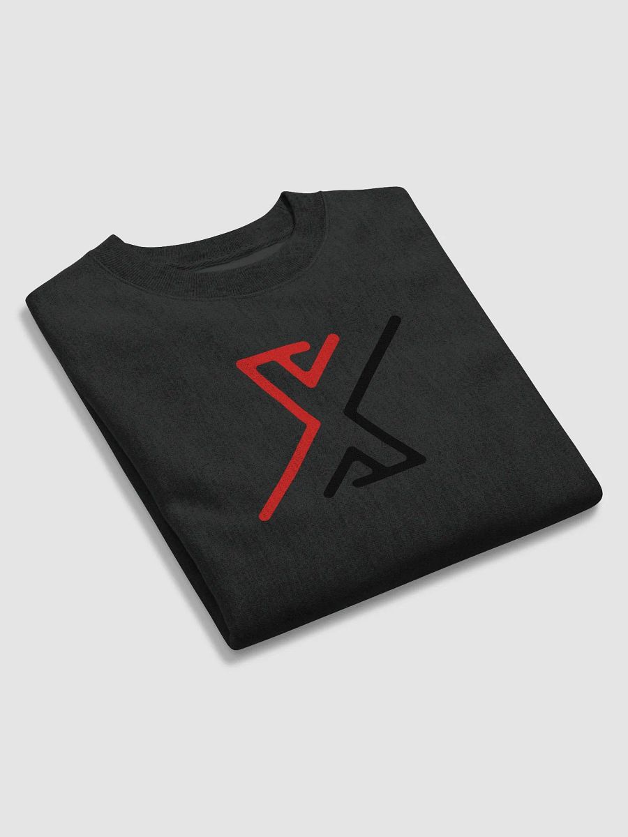 Red&Black CHAMPION sweatshirt product image (6)
