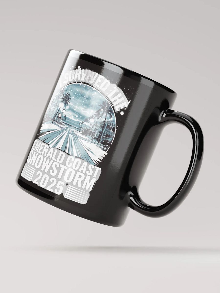 I survived the Emerald Coast Snowstorm 2025 Mug product image (4)