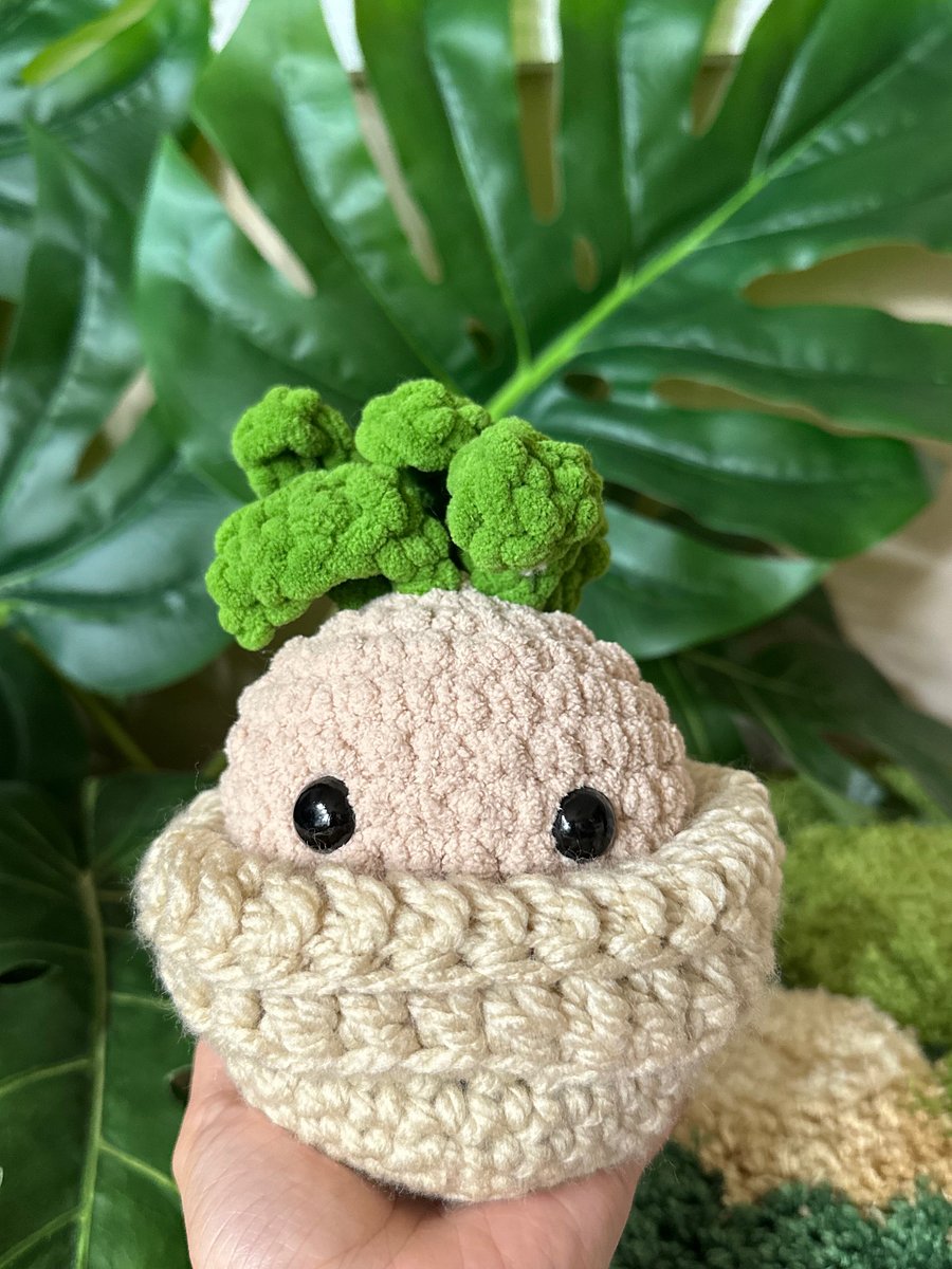Mandrake & Pot product image (2)