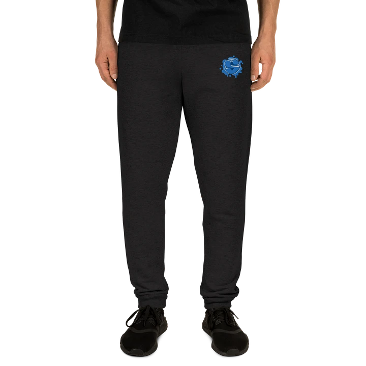 Silly Joggers product image (2)