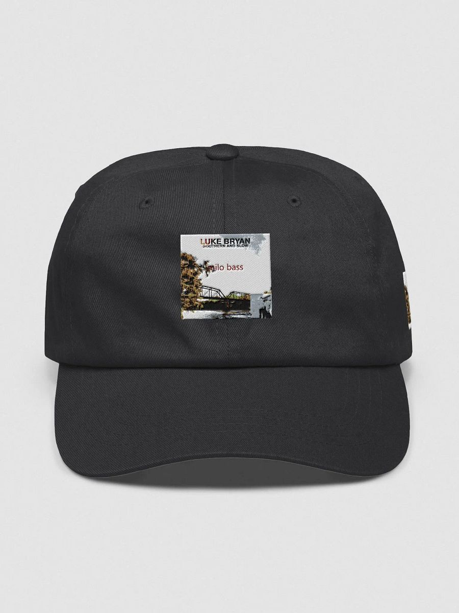 Southern And Slow Hat product image (1)