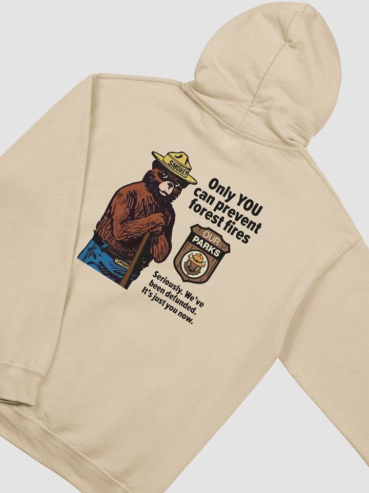 We've been DEFUNDED Smokey Our Parks Bear Pullover Hoodie Alt National Parks product image (1)