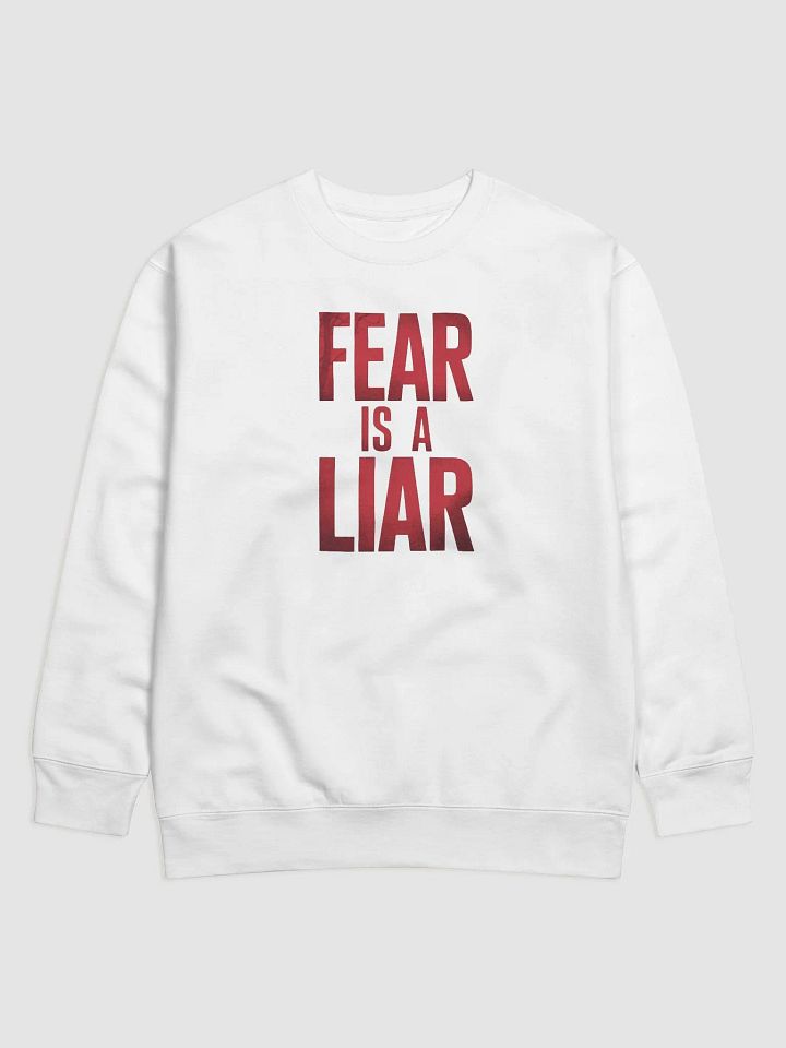 Fear is a liar Sweatshirt product image (25)