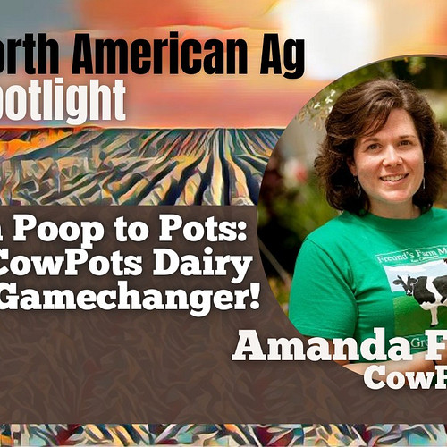 🌱🐄 Meet Amanda Freund from East Canaan, CT! She's turning cow manure into biodegradable plant containers with CowPots. Inspir...
