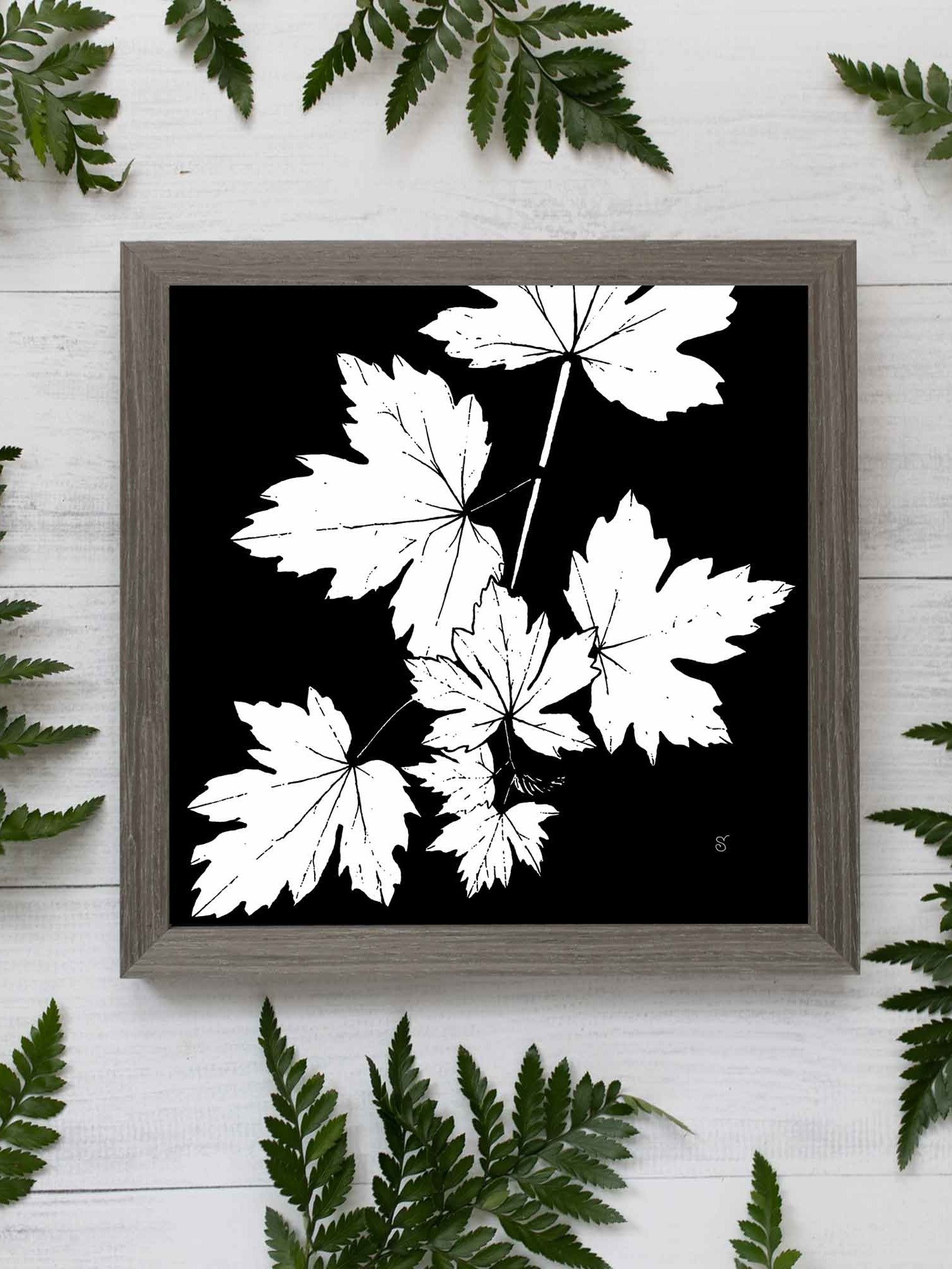 Leafy Silhouette Canvas Print - Grape Leaves Dark product image (7)