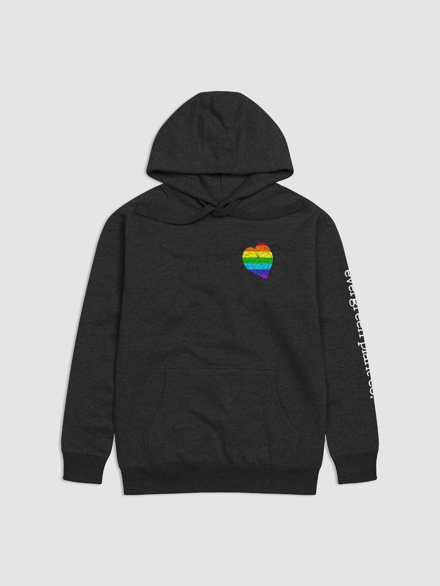 EPC Pride Hoodie product image (5)