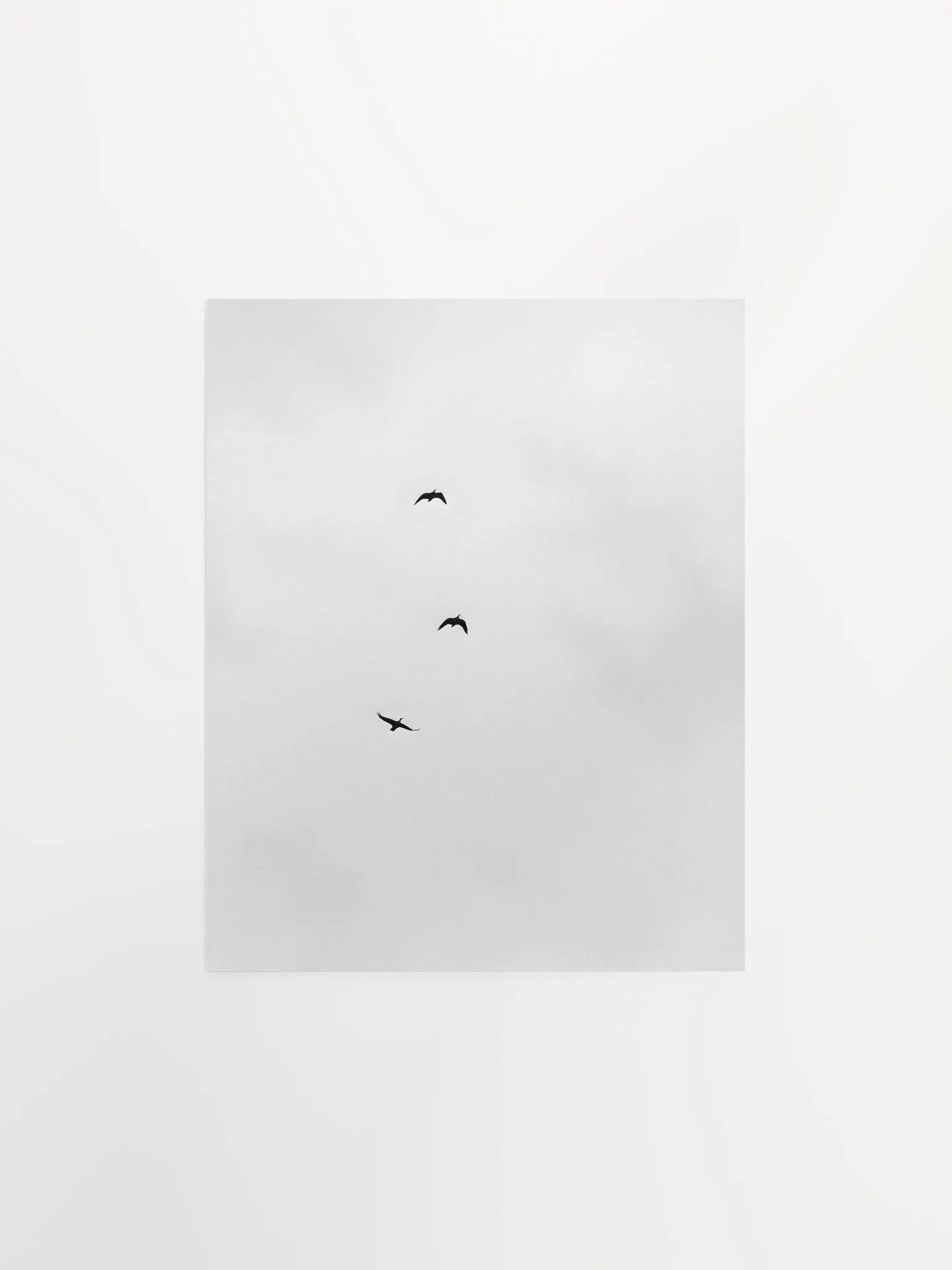 A Trio of Birds in Grayscale product image (2)