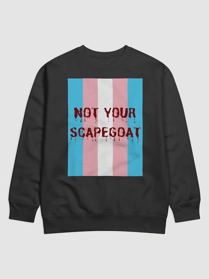 Transgender Pride "Not Your Scapegoat" Sweatshirt product image (1)